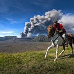 Berkuda di kawasan wisata Gunung Bromo